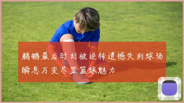 鹈鹕最后时刻被逆转遗憾失利球场瞬息万变尽显篮球魅力